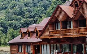 Hotel Chveneburi